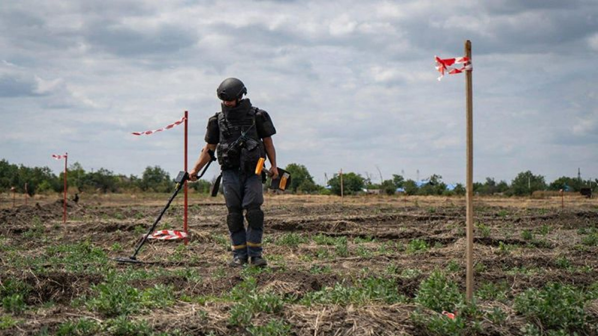 Разминирование поля. Фото: ГСЧС Украины