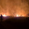 Лесной пожар под Лиманом. Фото: ГСЧС